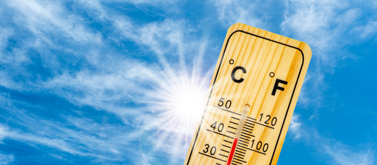 Beating the Heat: Fun Activities to Keep Your Little Ones Engaged