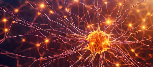 Scientific research on Yoga Nidra — evidence for brain health, stress, sleep and anxiety | Nidra Mind