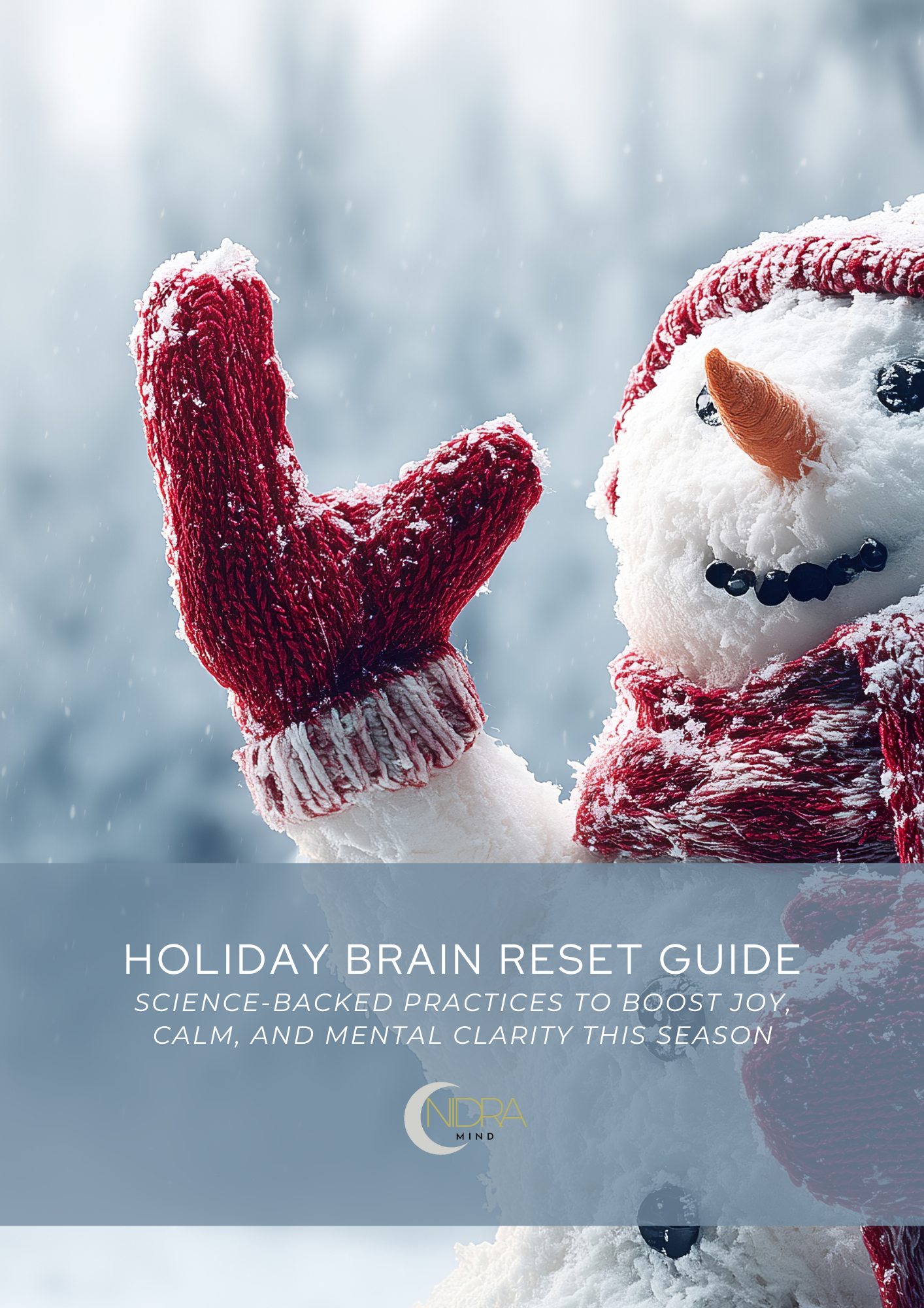 Holiday Brain Reset Guide & Audio